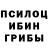 Галлюциногенные грибы Psilocybine cubensis Roman Stroilov