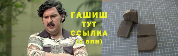 мет Алексин