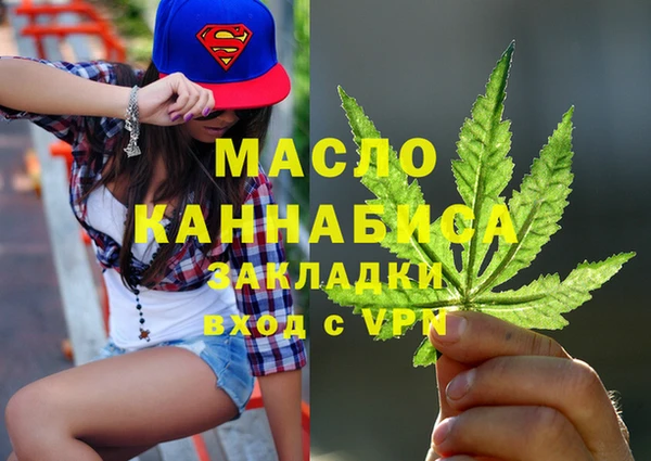 мет Алексин