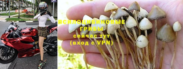 каннабис Алзамай