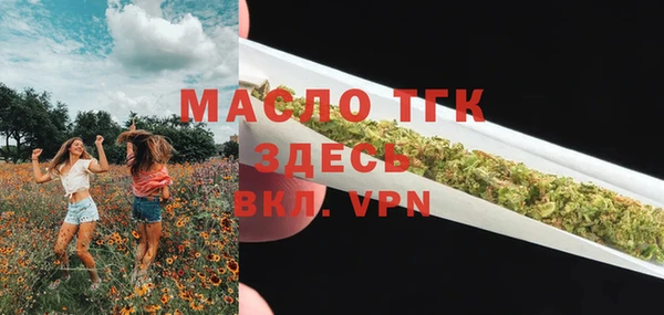винт Гусь-Хрустальный