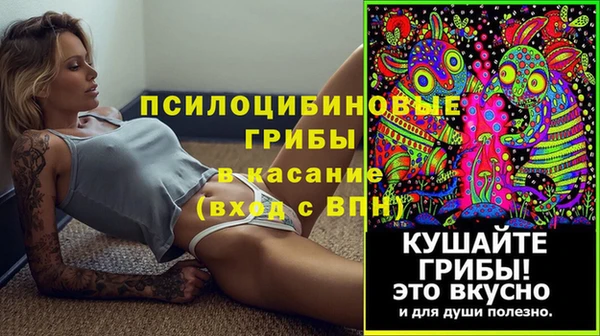 мет Алексин