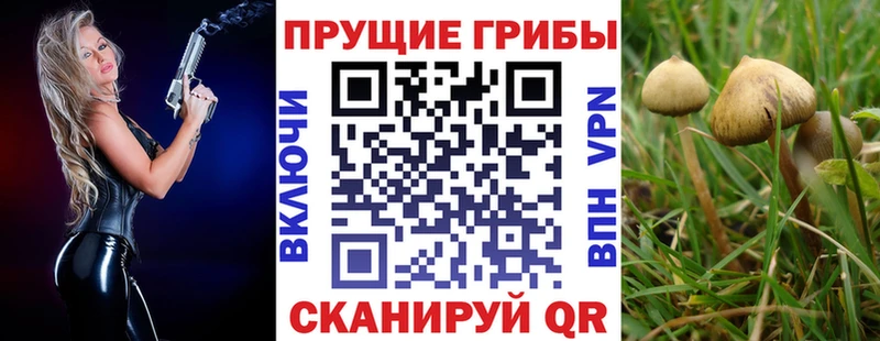 Псилоцибиновые грибы Cubensis  Луза 